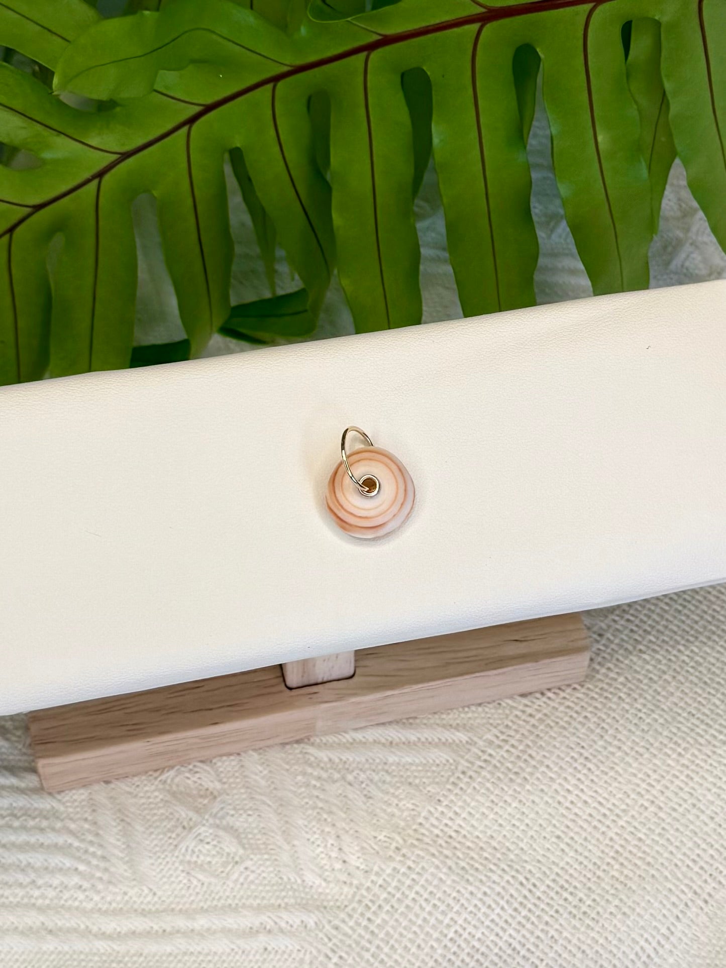Gold Puka Charm no. 9 ~ large