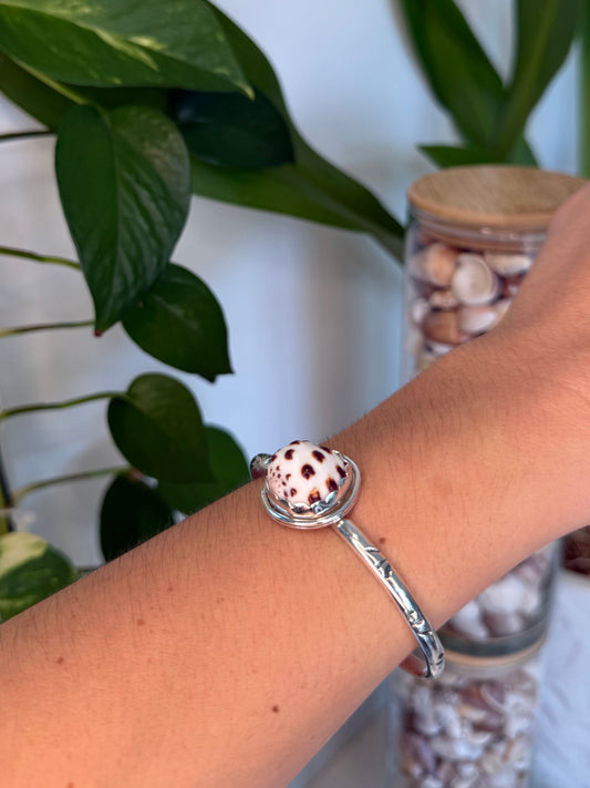 Maui Shell Cuff