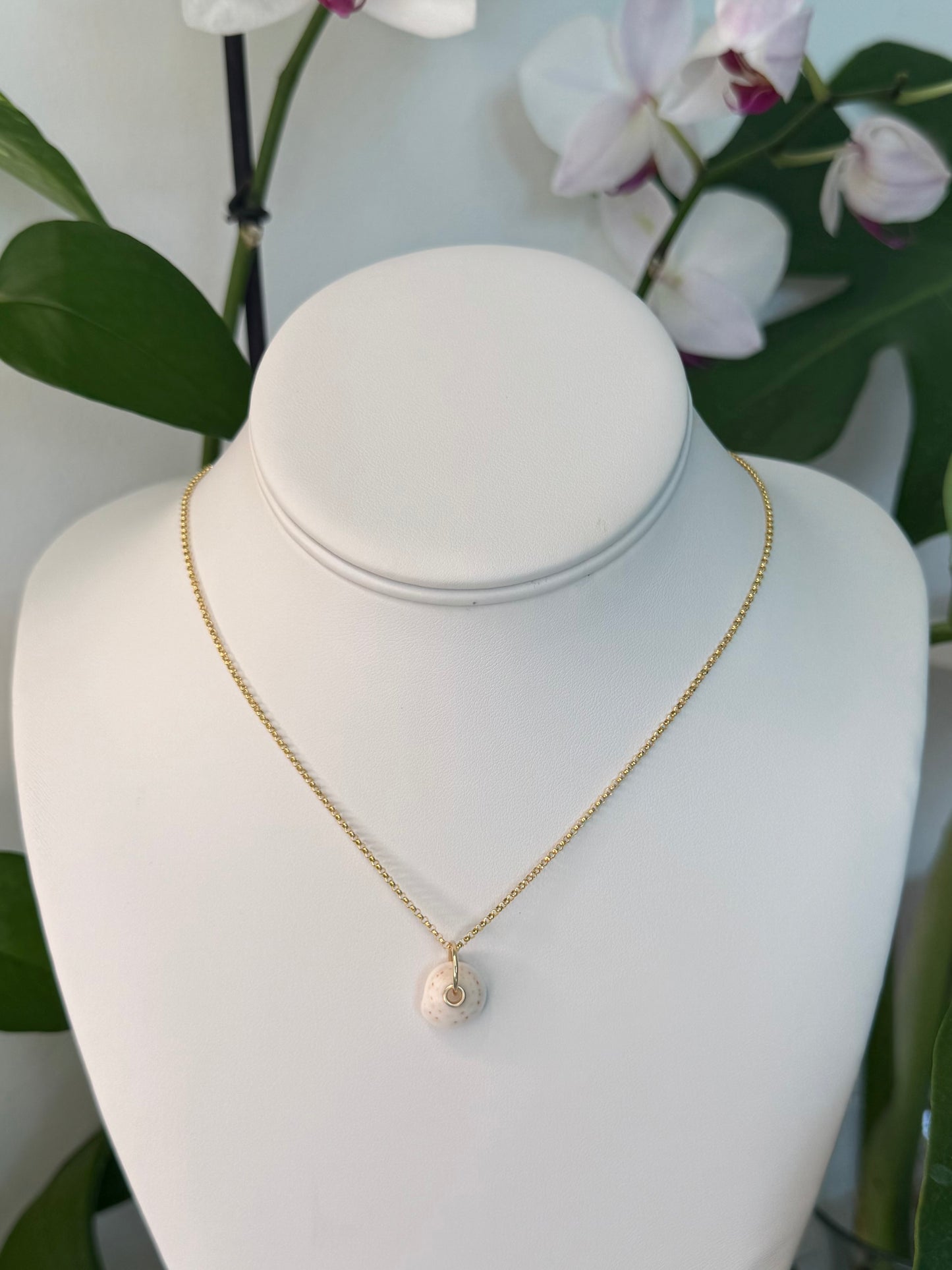 Gold Puka Charm no. 2 ~ small